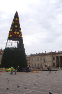 a large christmas tree in a square