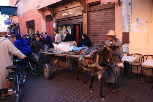 a donkey pulling a cart
