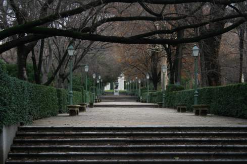 a path with stairs and trees