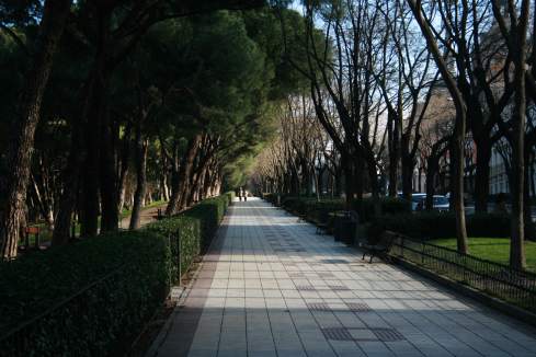 a sidewalk with trees and bushes