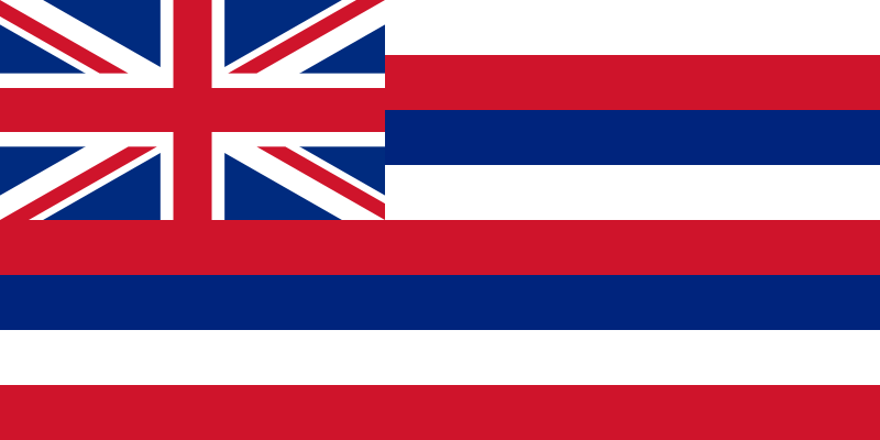 a flag with red white and blue stripes