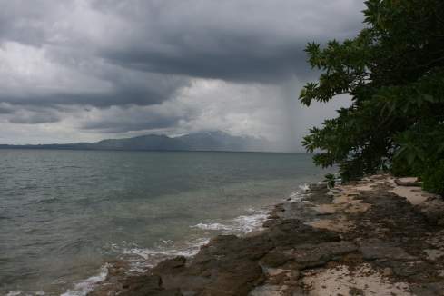 a beach with a tree and a cloudy sky