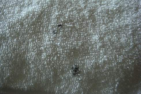 a close-up of a white fabric