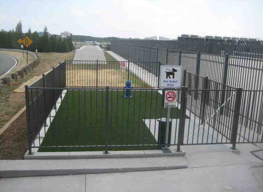 a dog park with a fence