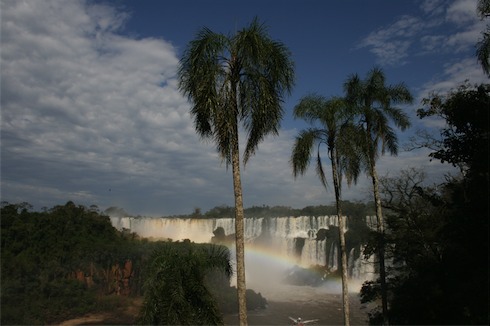 a waterfall with palm trees and a rainbow