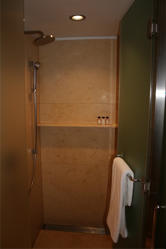 a shower with a white towel