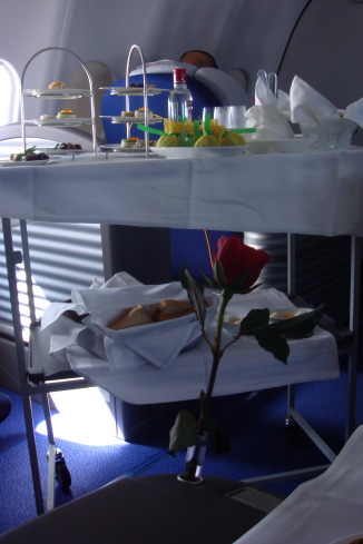 a rose on a table