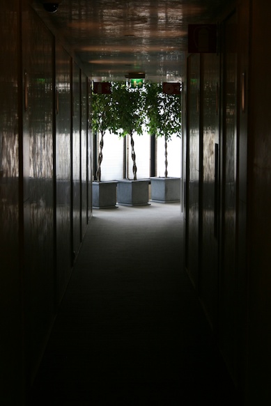 a hallway with trees in pots