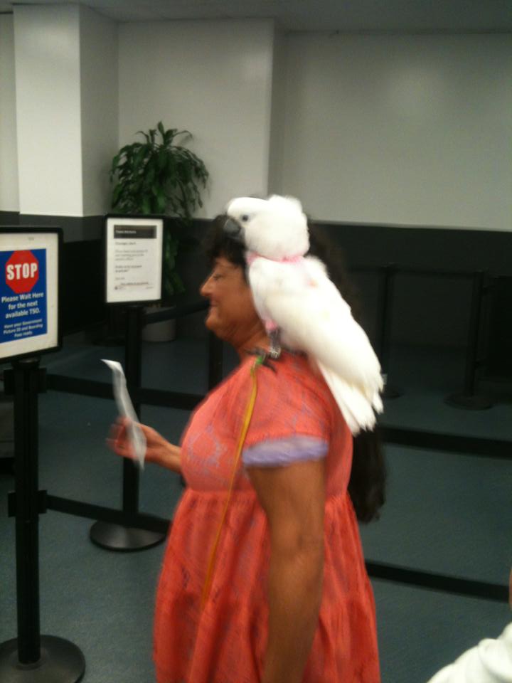 a woman with a bird on her head