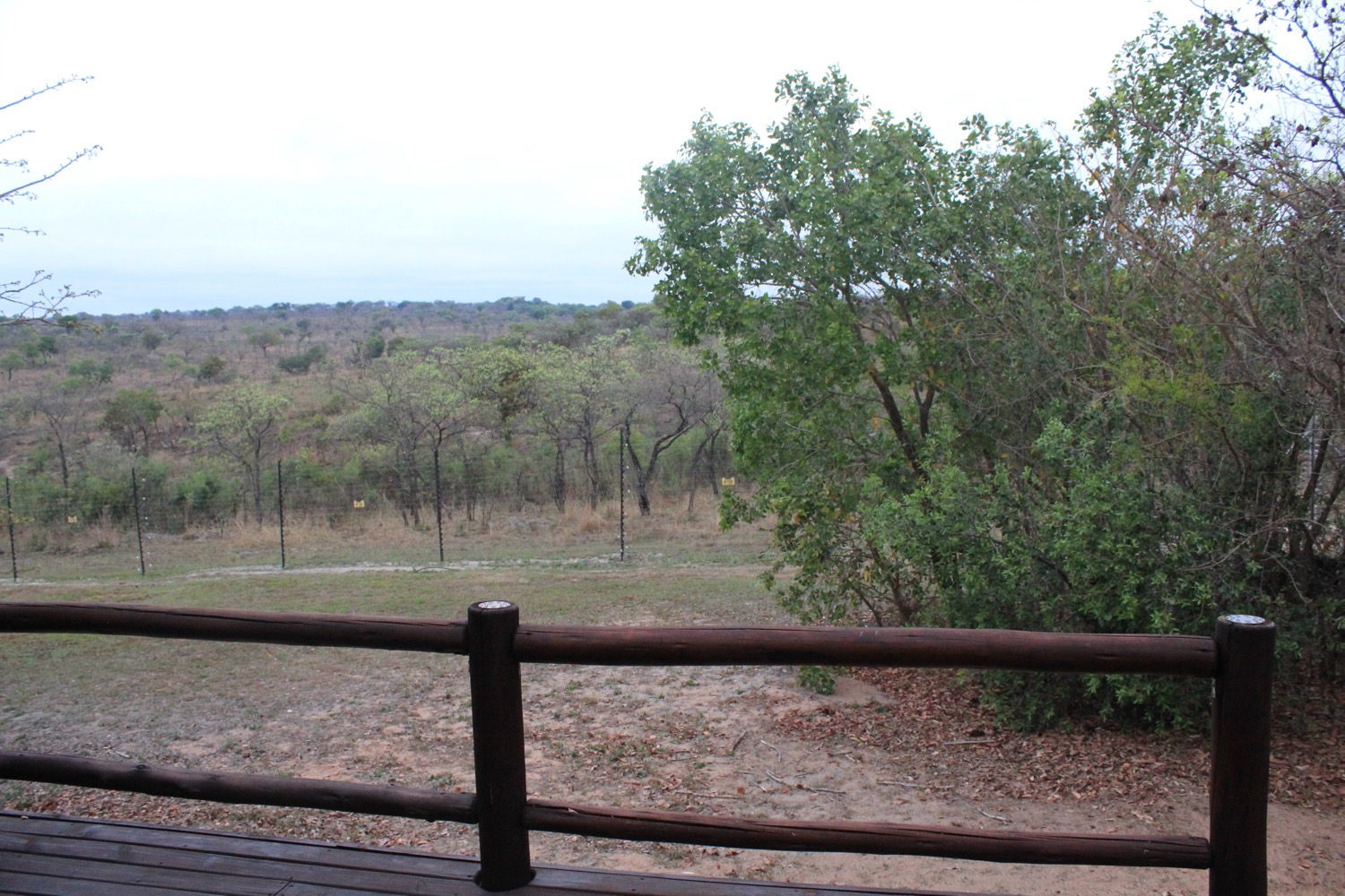 Kruger National Park - 21