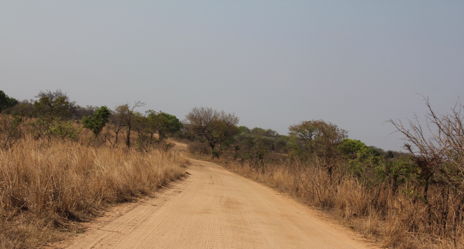 Kruger National Park - 46