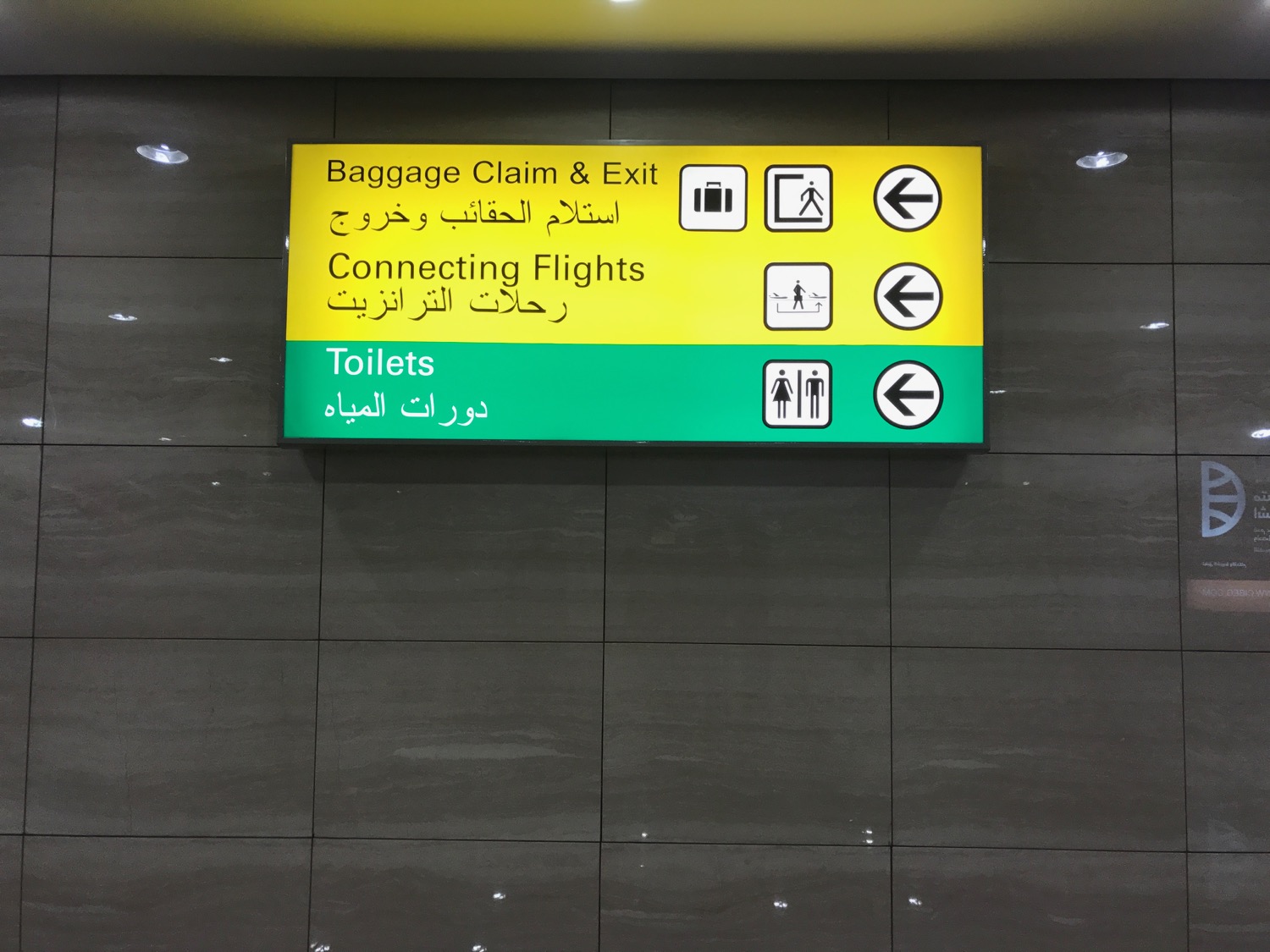 Cairo Transit - 3