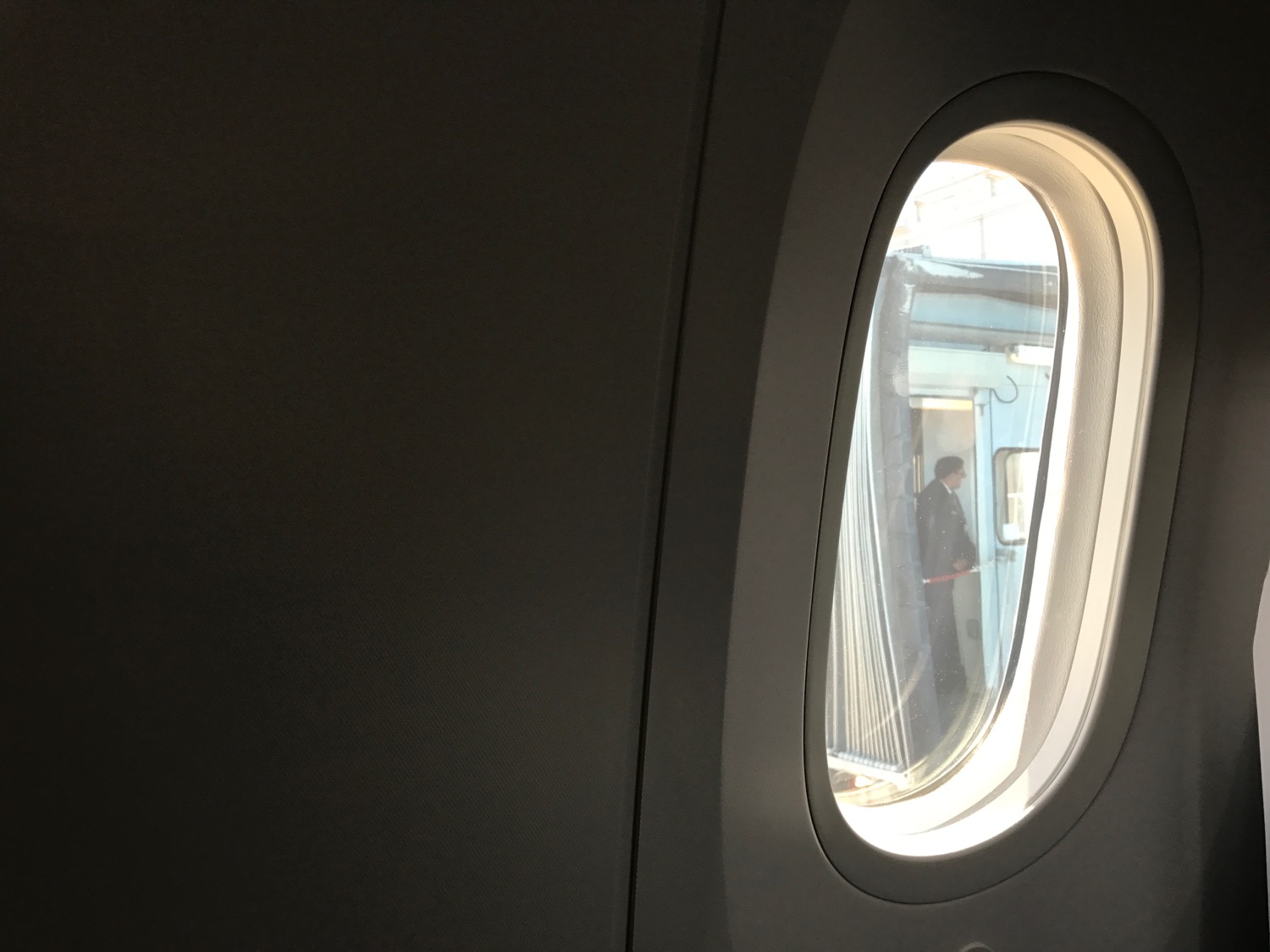 KLM 787 Business Class Review - 29