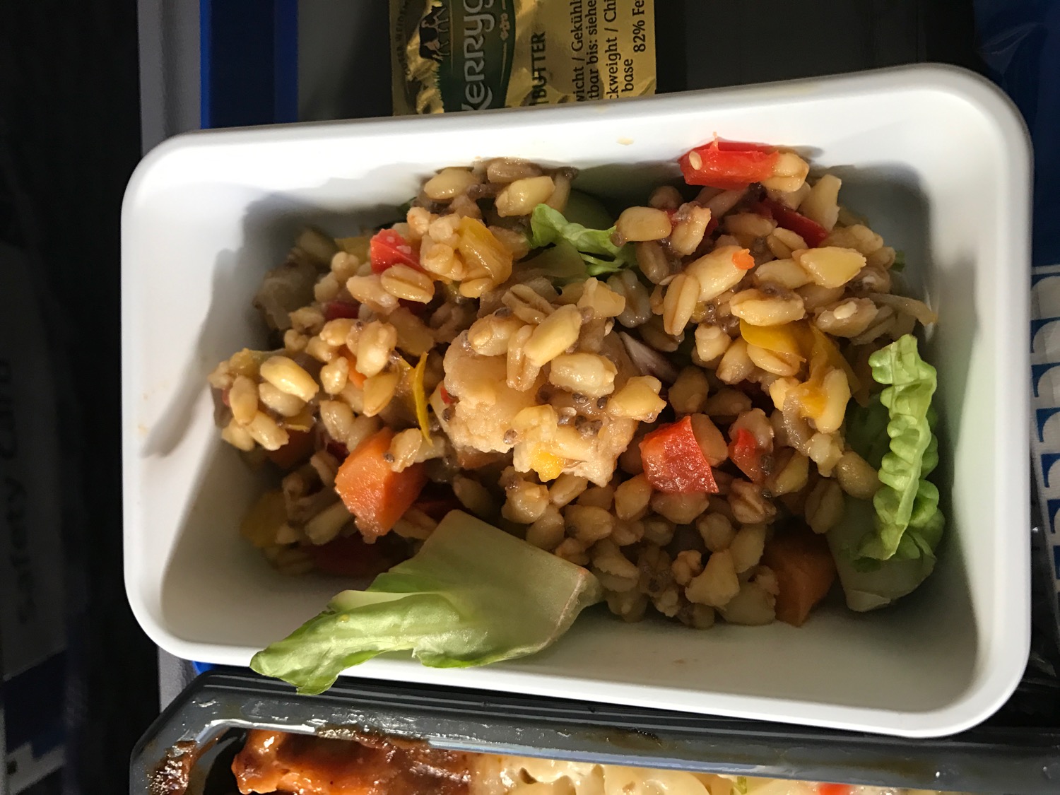 United AMS-IAH Economy Class Meal - 6