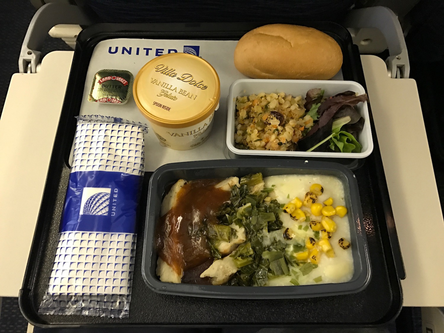 United Airlines Economy Class Meal SFO-FRA 01