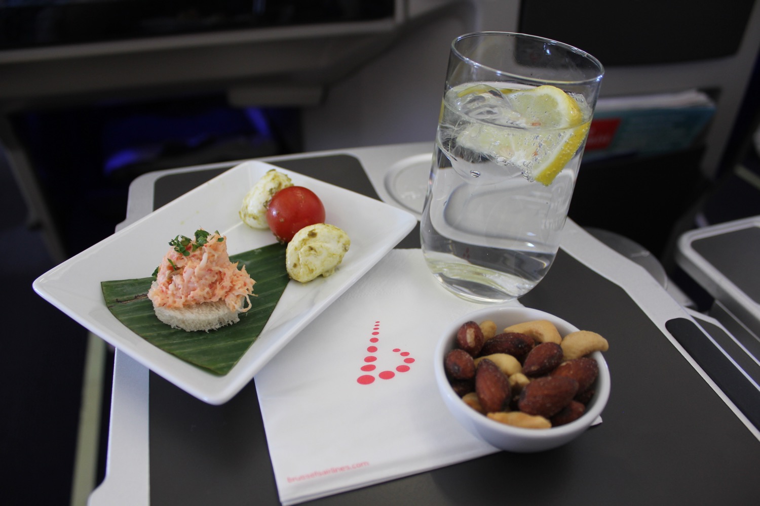 Brussels Airlines A330 Business Class Review - 9