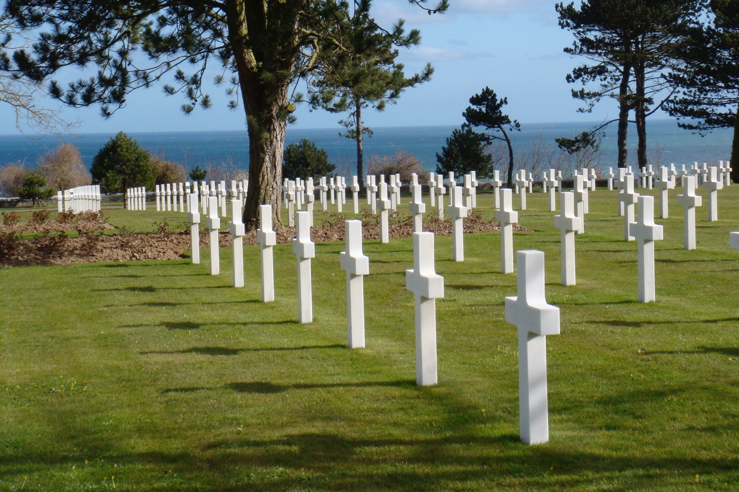 a row of white crosses in a cemetery