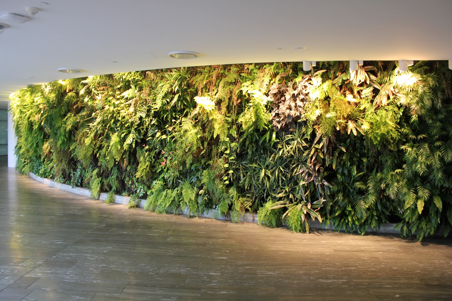 a wall of plants with lights