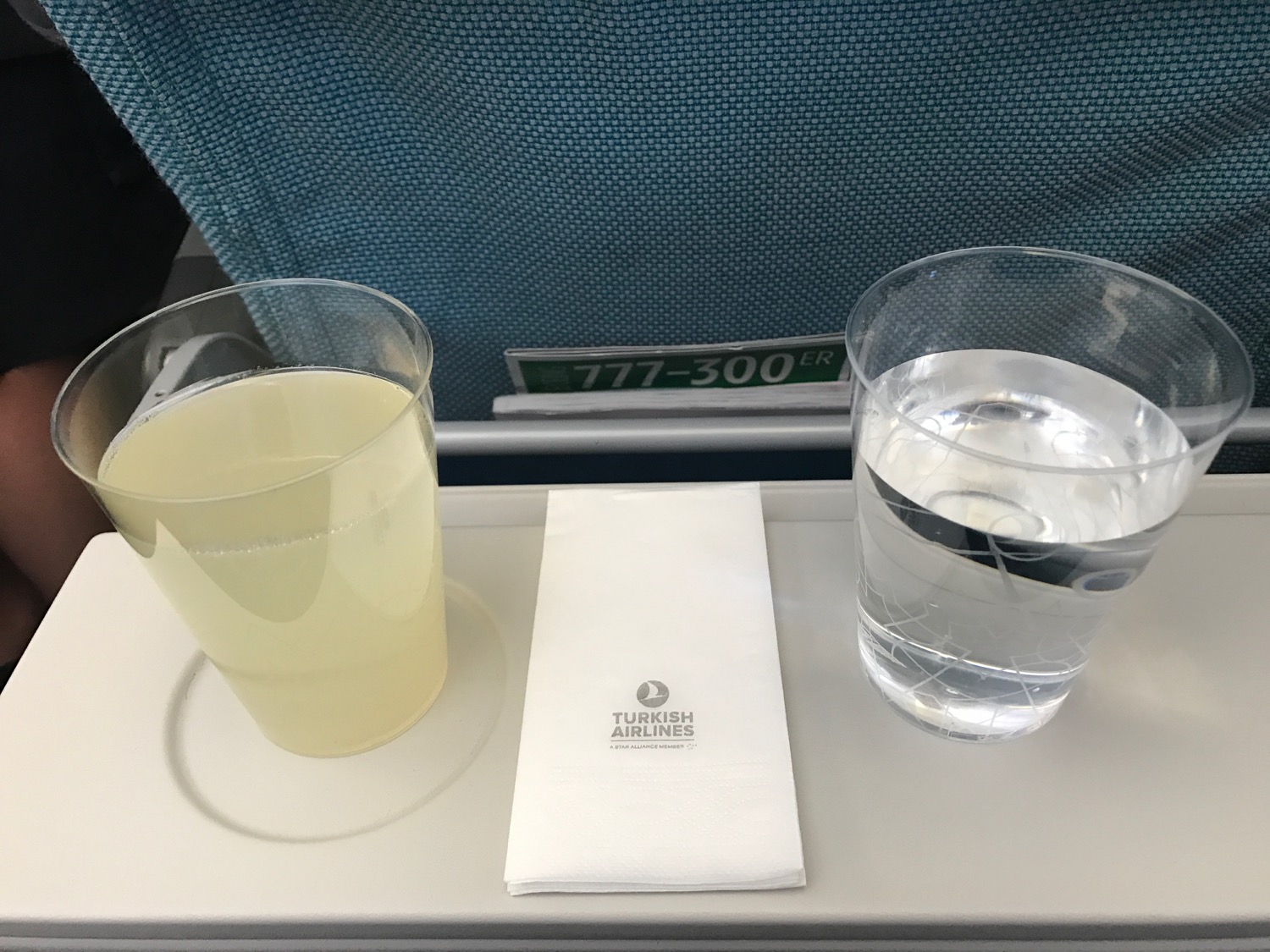 Turkish Airlines Economy Class Review 777-300 - 38