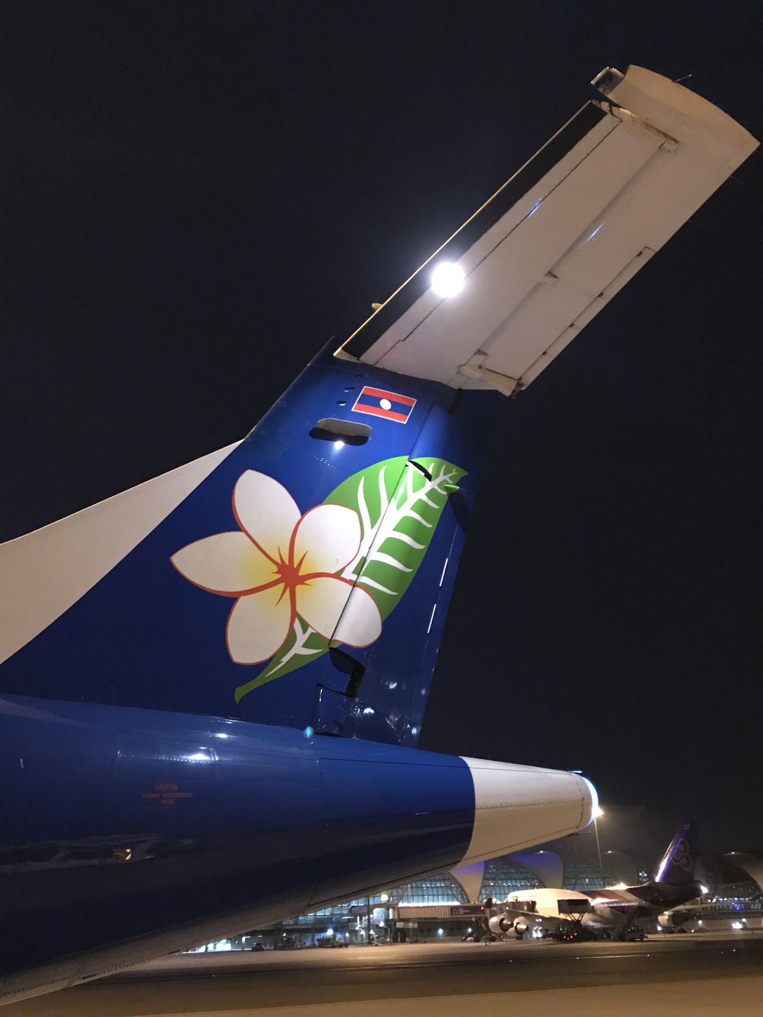 tail fin of an airplane with a flower on it