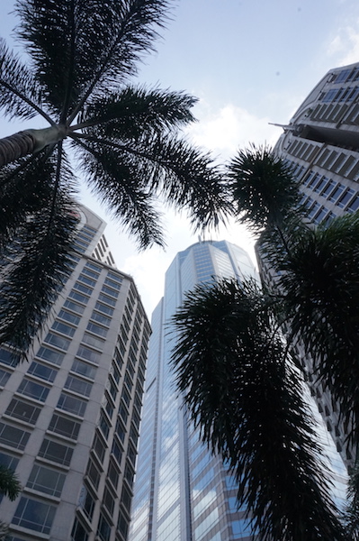 Conrad Bangkok (left) towering over the pool palm trees