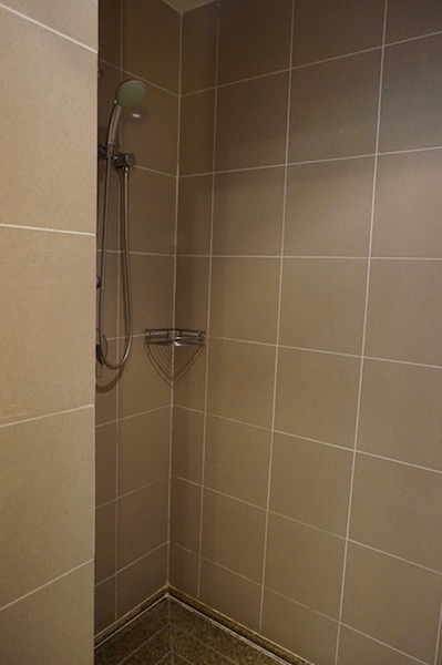 Large walk-in shower. It will be even better after the renovation.