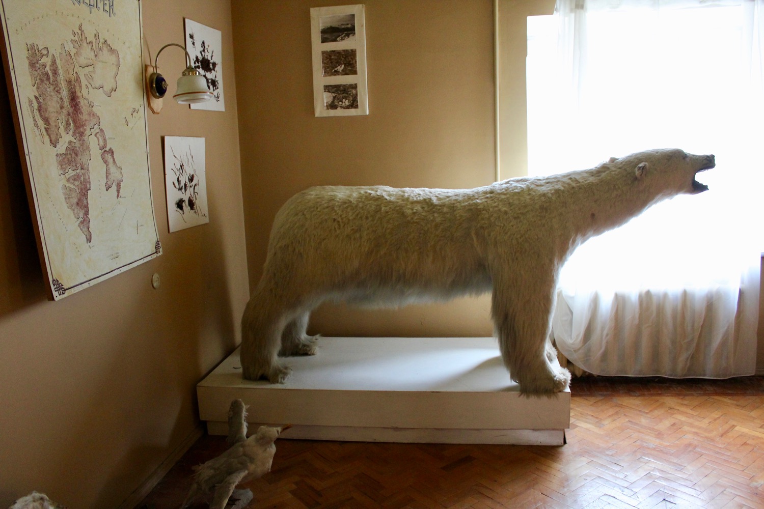 a stuffed polar bear on a platform in a room