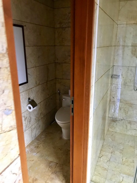 Separate, closed-door toilet. No Japanese attachment.