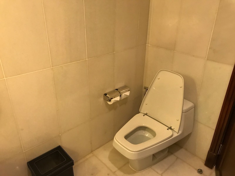 Master bathroom toilet