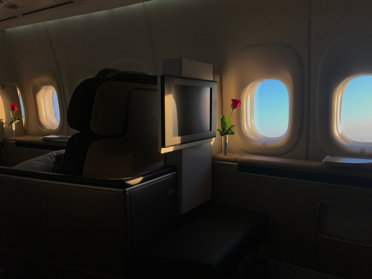 a tv and a flower in a chair in an airplane