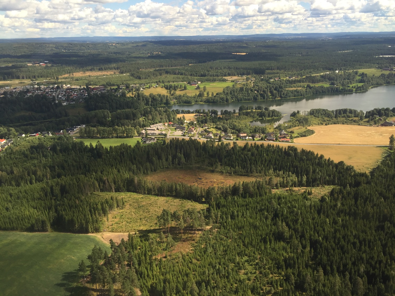 aerial view of a forest and a river