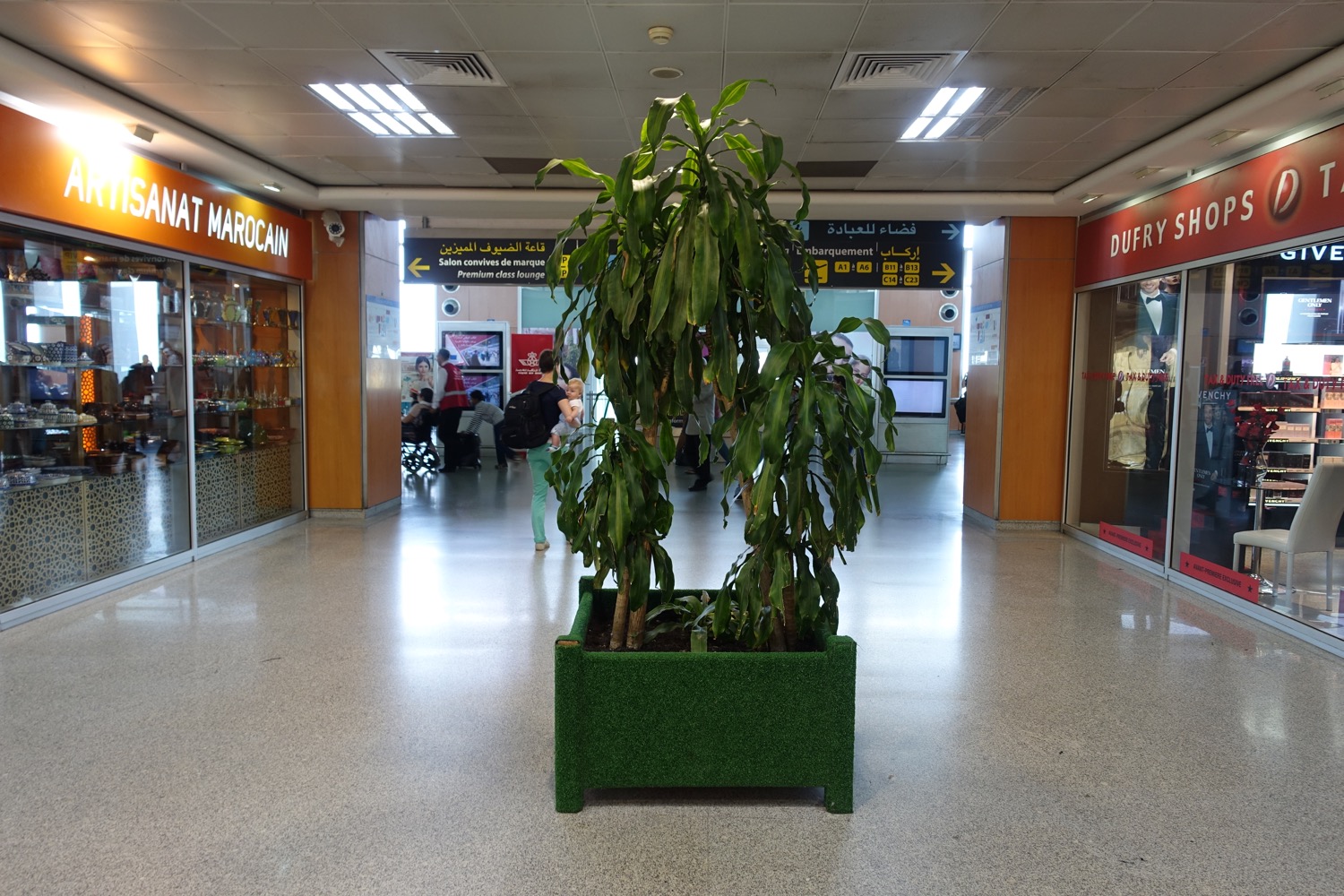 a plant in a planter in a building