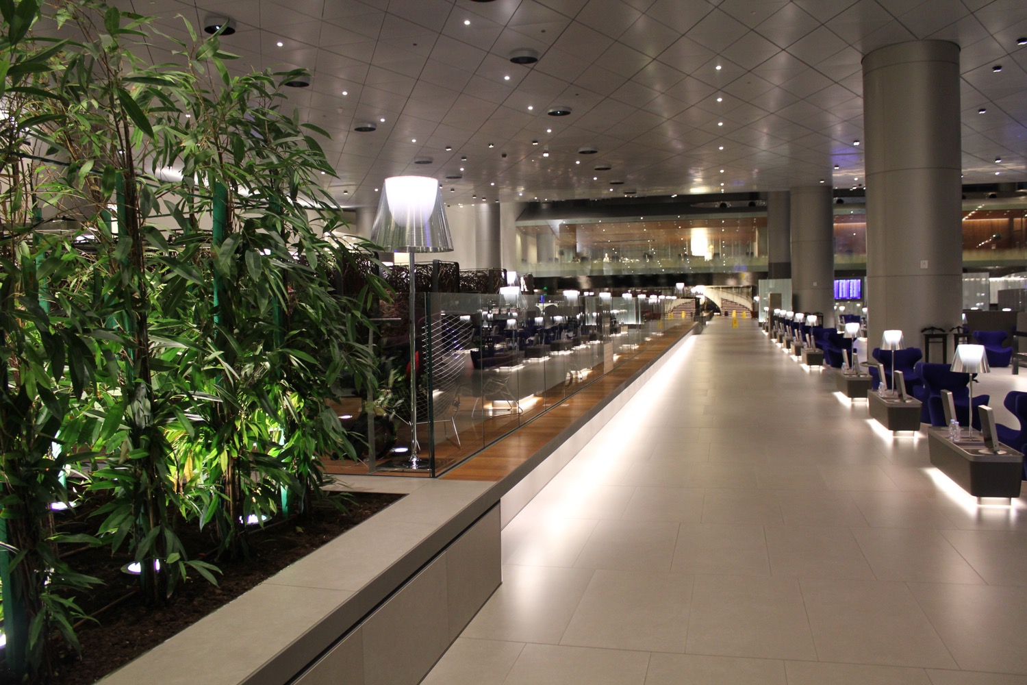 a long corridor with a plant and a glass wall