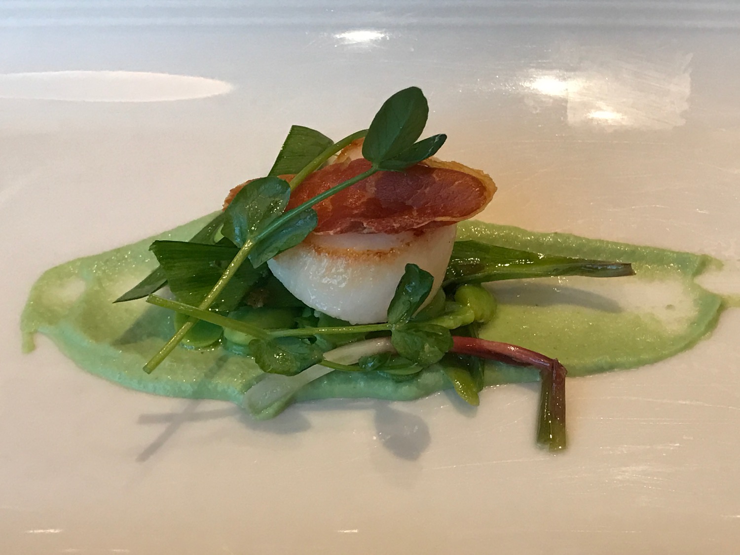 a scallop with greens on a white plate