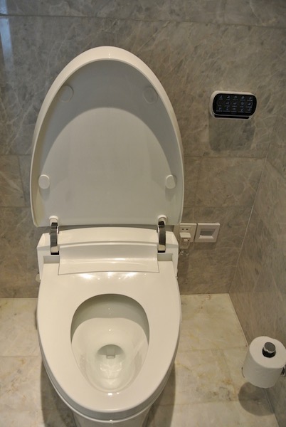 Subtle Japanese toilet