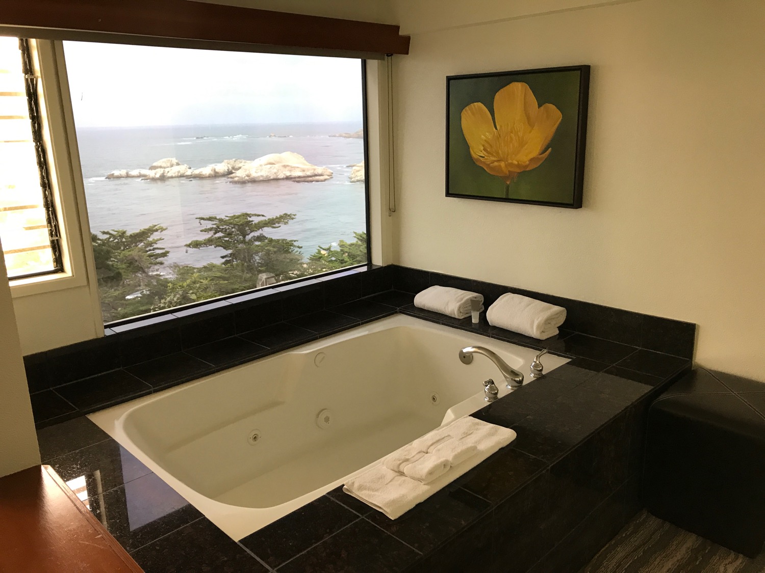 a bathtub with a large window overlooking the ocean