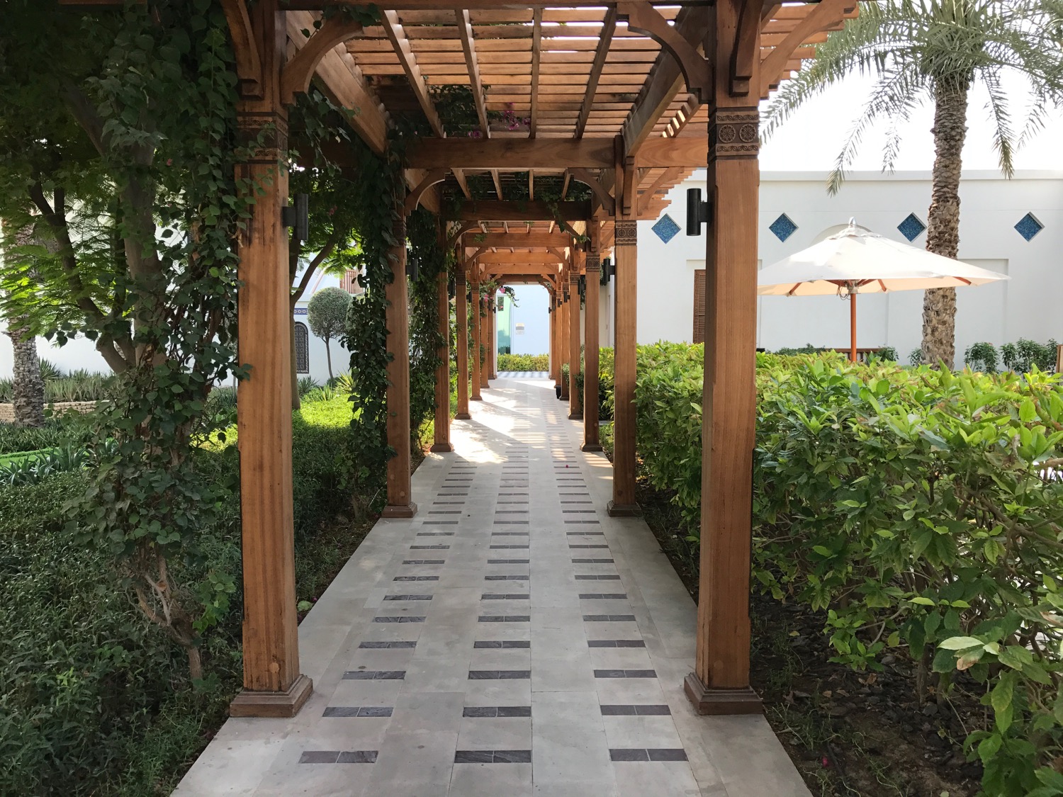a walkway with a pergola and plants