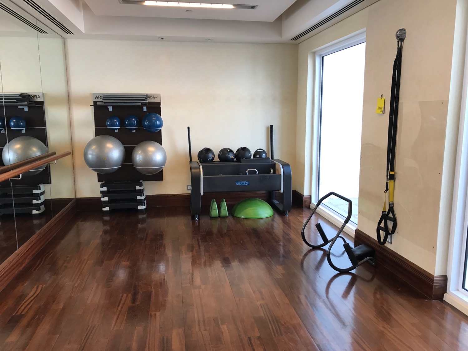 a room with a gym equipment and balls
