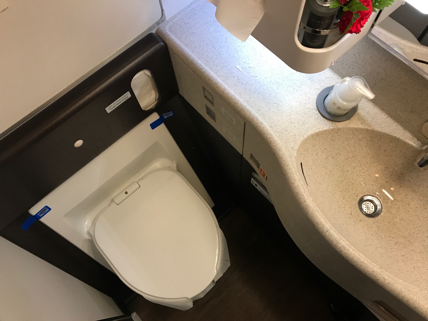 Toilet and sink in the bathroom