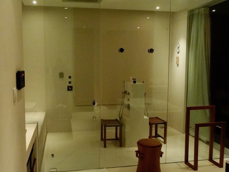 Steam/shower room