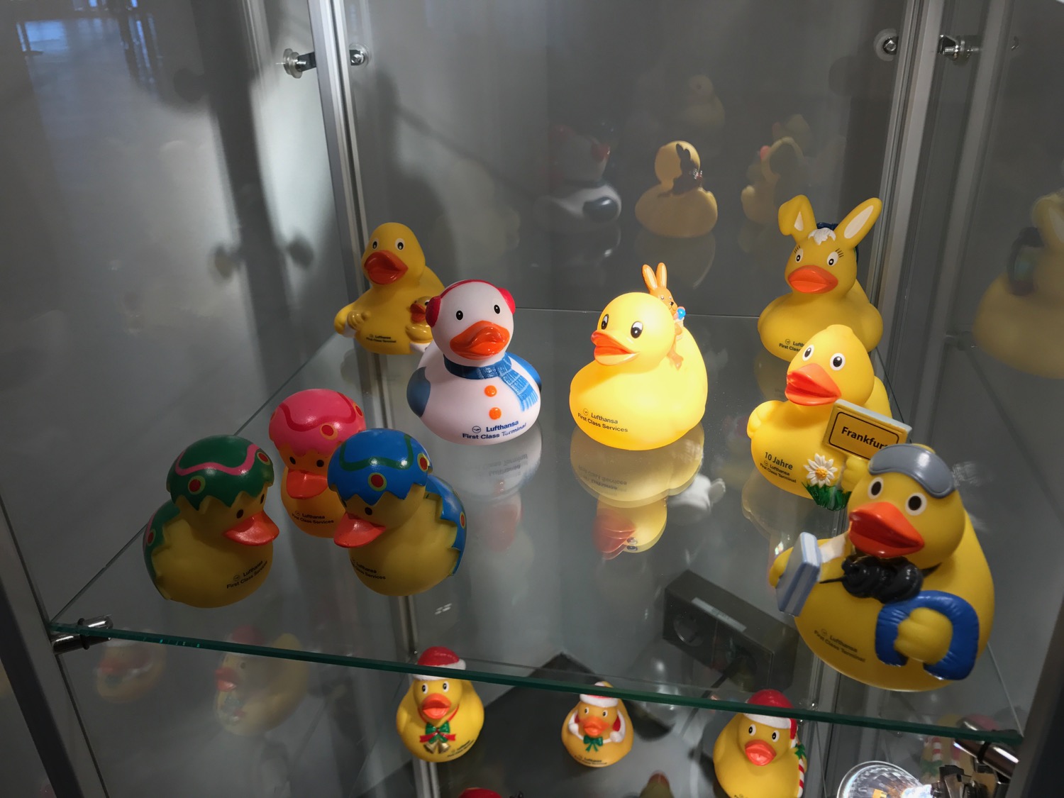 a group of rubber ducks in a glass case