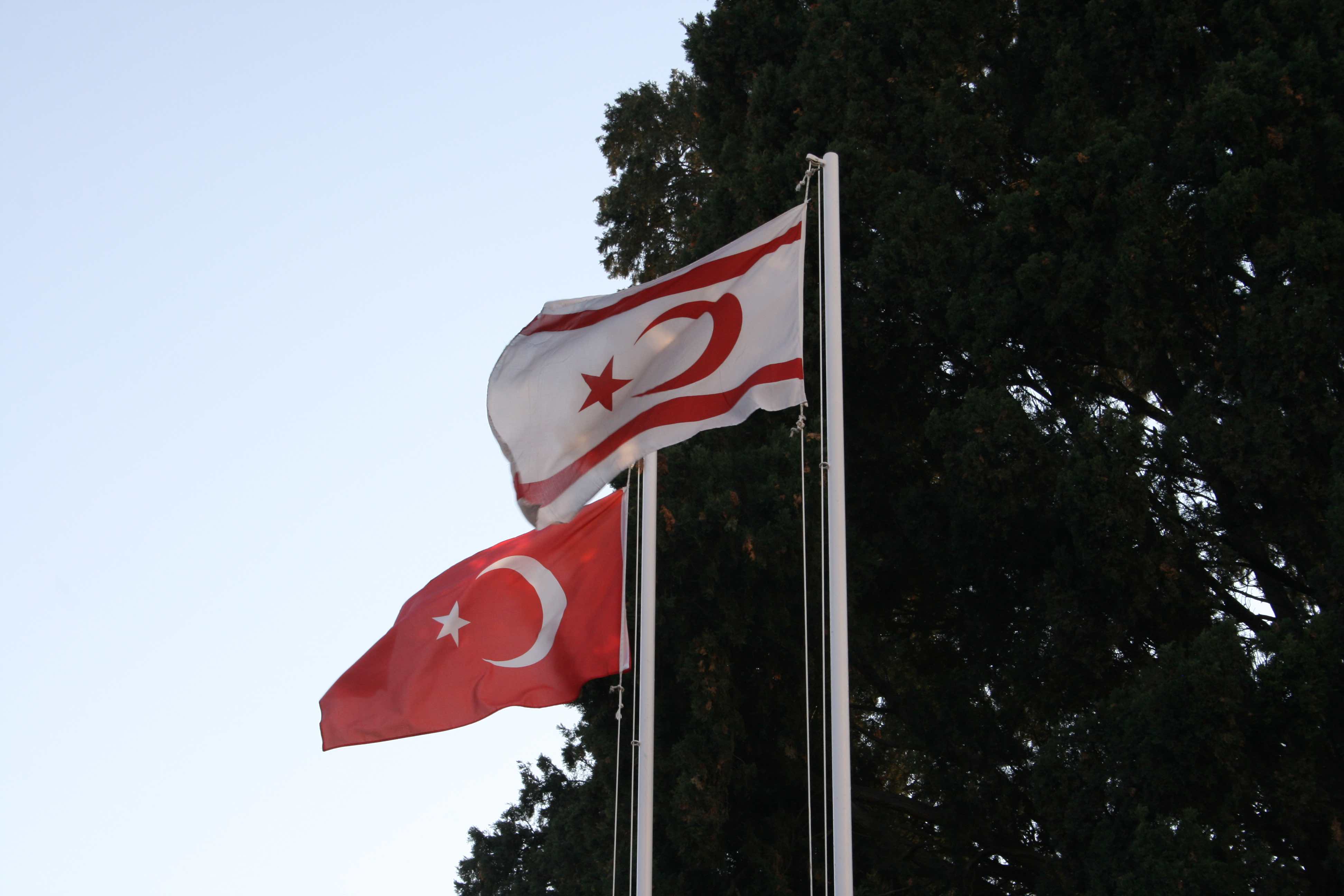 a group of flags on a flagpole