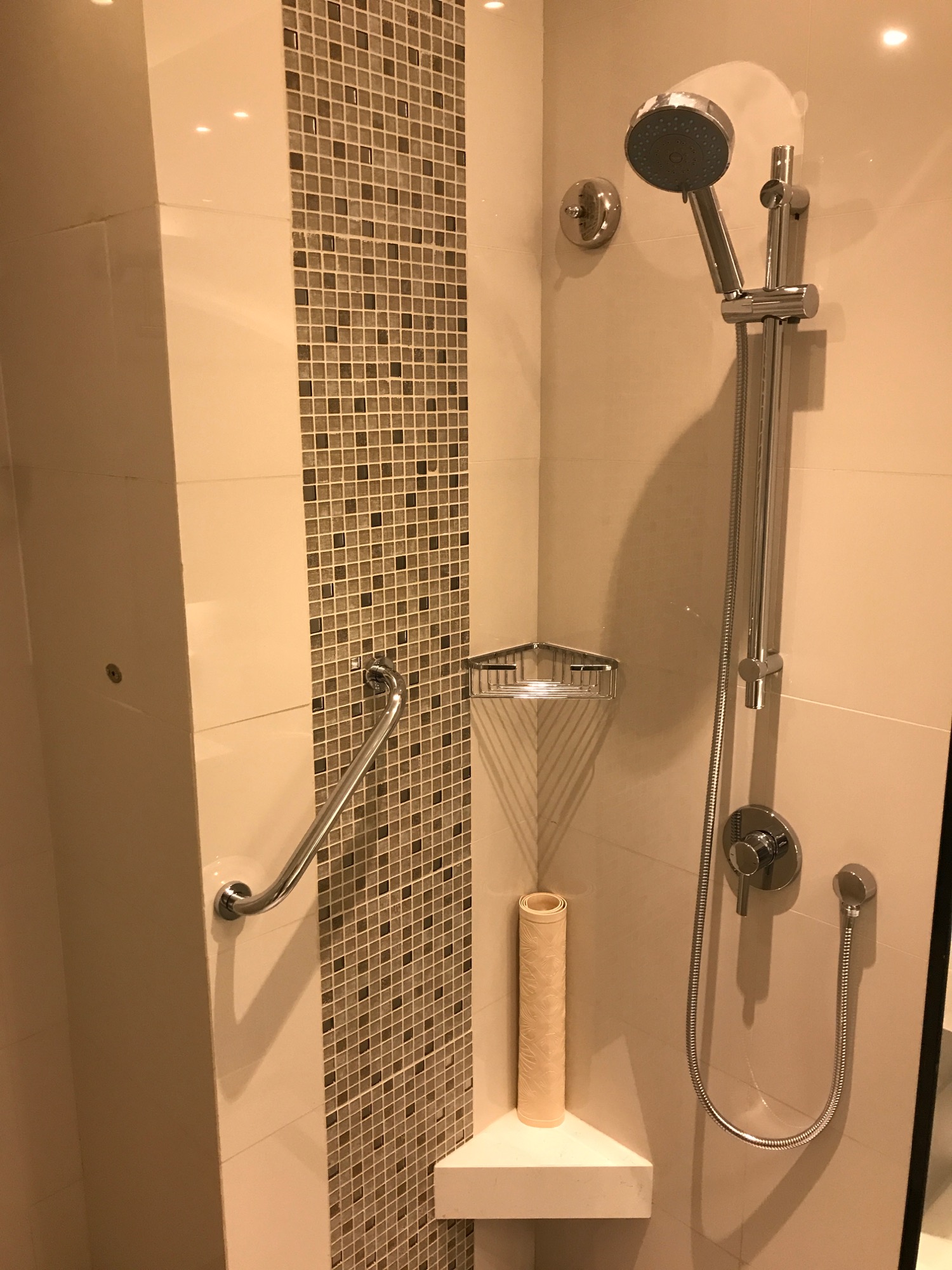 a shower with a stand up shower head and a roll of toilet paper