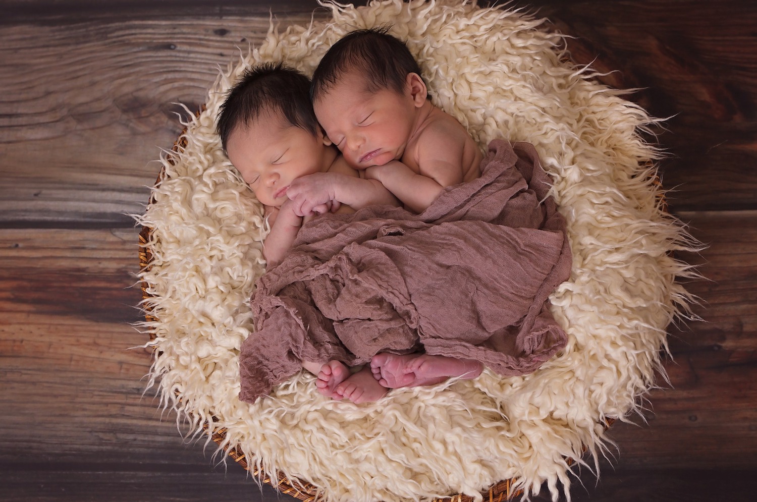 two babies sleeping in a basket