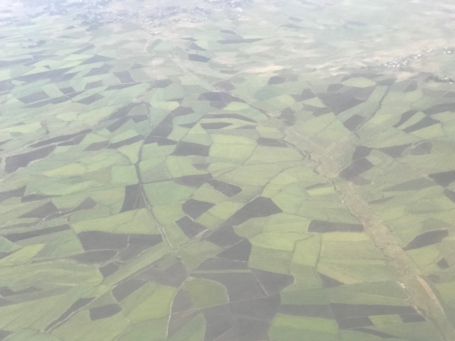 aerial view of a green field