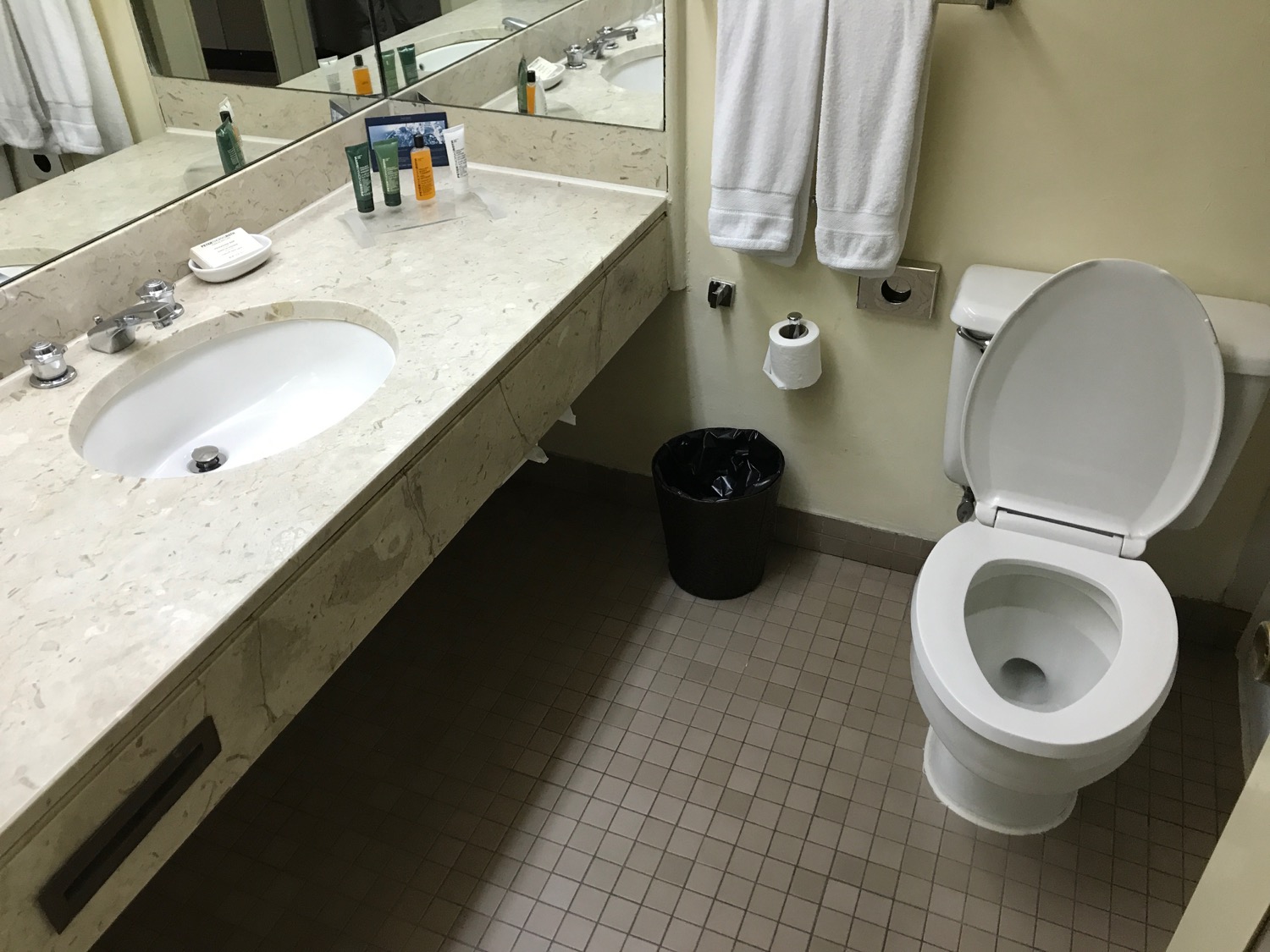 a bathroom with a toilet and sink