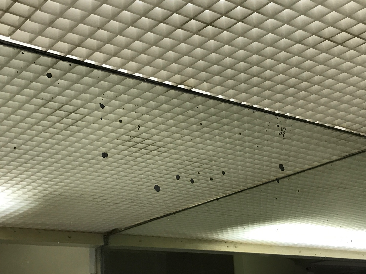 a white ceiling with black spots on it