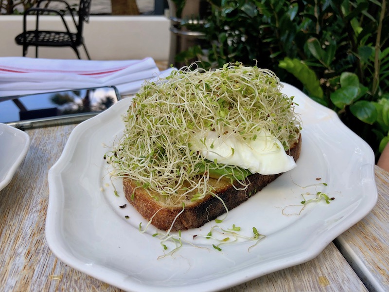 Avocado Toast with poached egg and too many sprouts