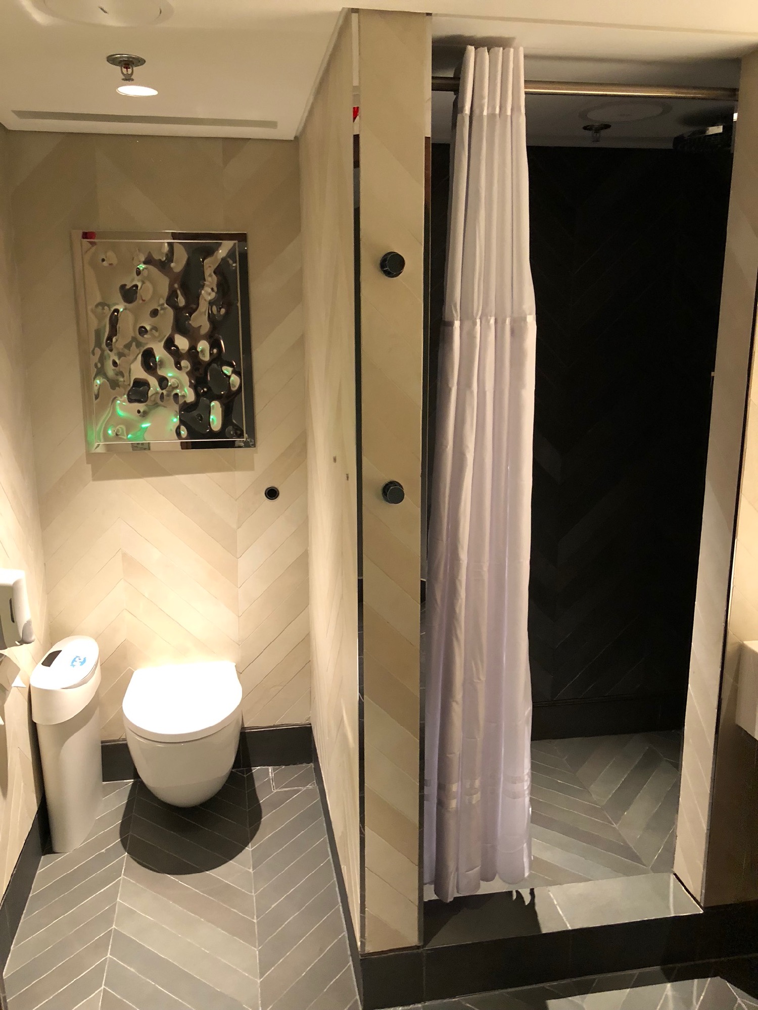 a bathroom with a shower and a toilet