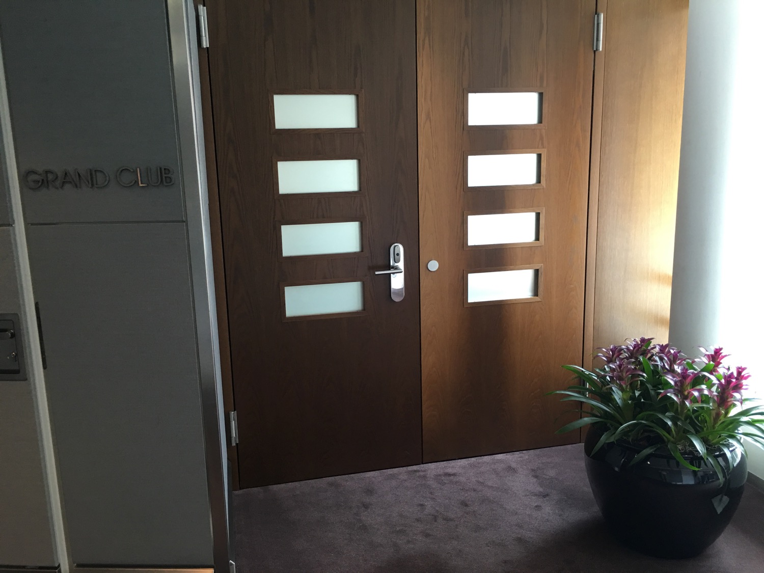 a door with glass panels and a potted plant